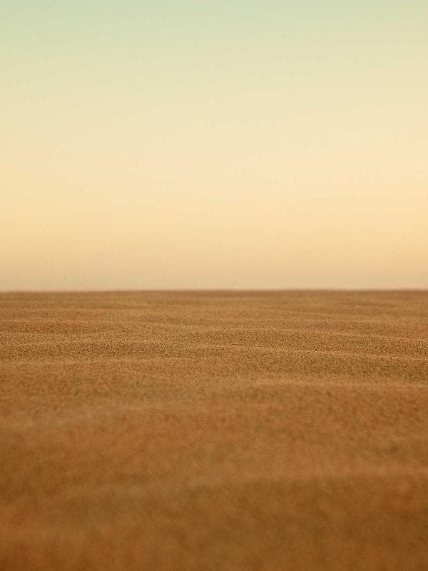 Gallery 0